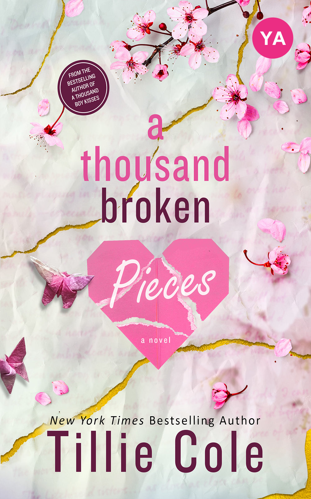A Thousand Broken Pieces